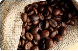 咖啡豆-icon